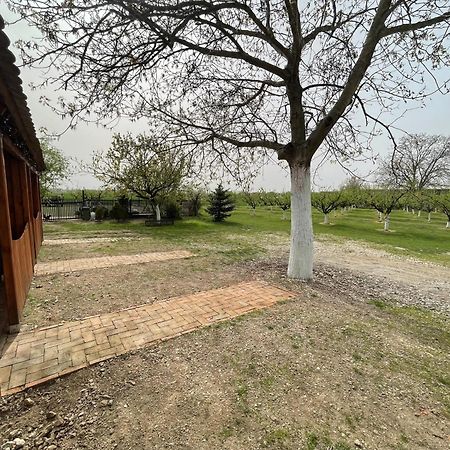 Salas Isailovi Sremska Mitrovica Extérieur photo
