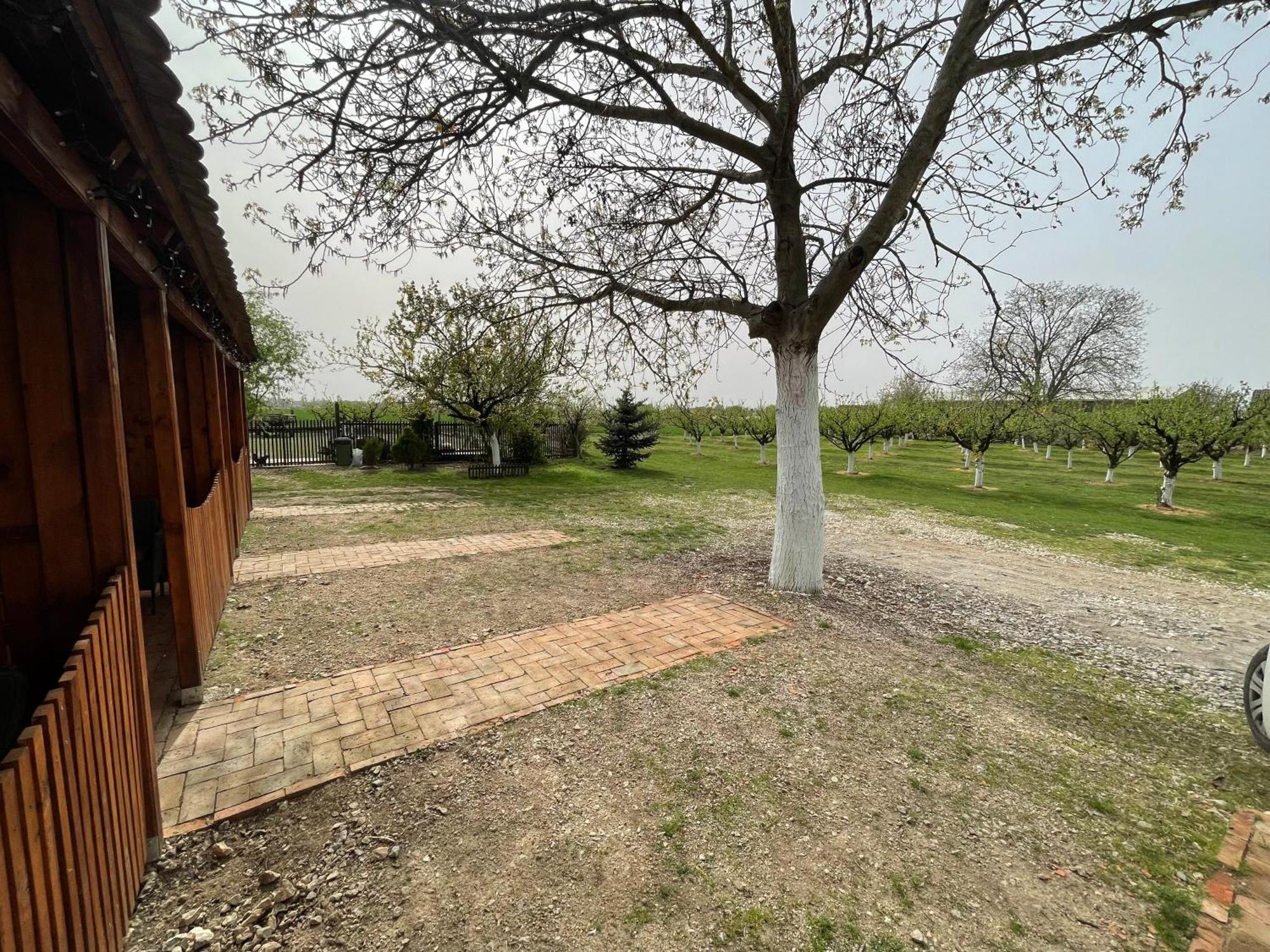 Salas Isailovi Sremska Mitrovica Extérieur photo